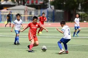 金宝博,体育,产品,金宝博188bet体育官网,APP下载,注册领彩金,官方网站,网站入口