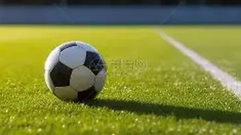 金宝博202bet体育 产品 093255 ejs