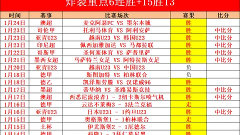 热刺冬窗引援目标锁定费莱尼，管理层已批准