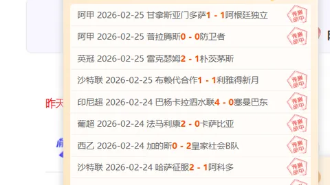 揭秘阿尔克马尔：15胜12负背后的强势崛起之谜